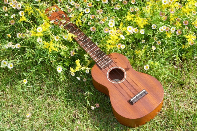 ウクレレレッスンもできます